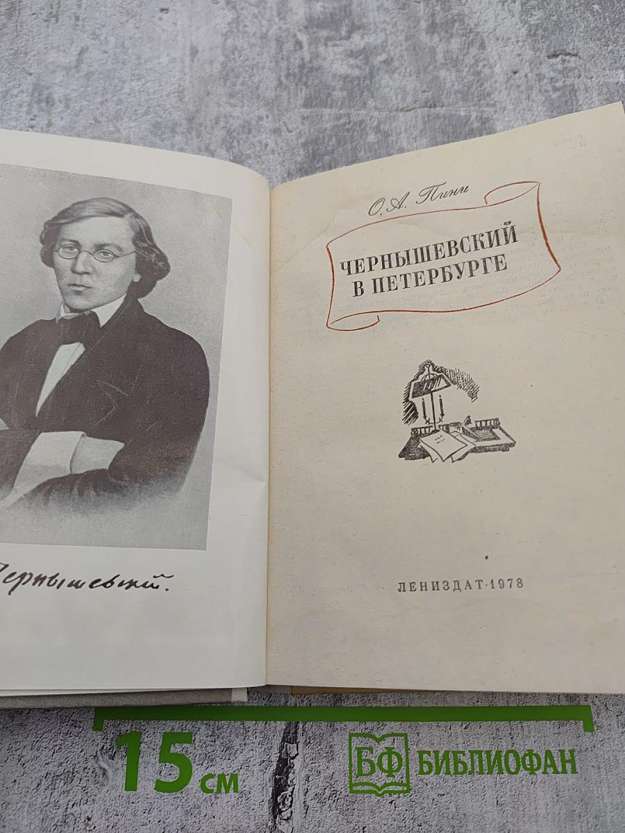 Чернышевский в Петербурге