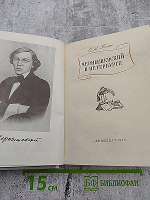 Чернышевский в Петербурге