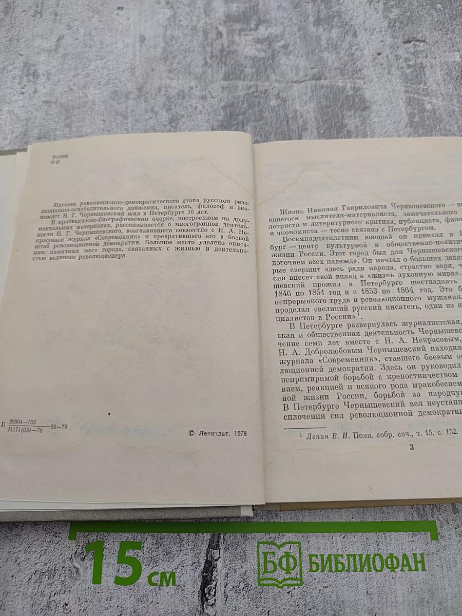 Чернышевский в Петербурге