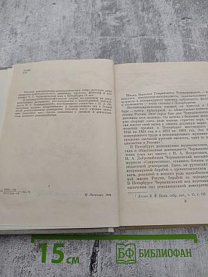 Чернышевский в Петербурге