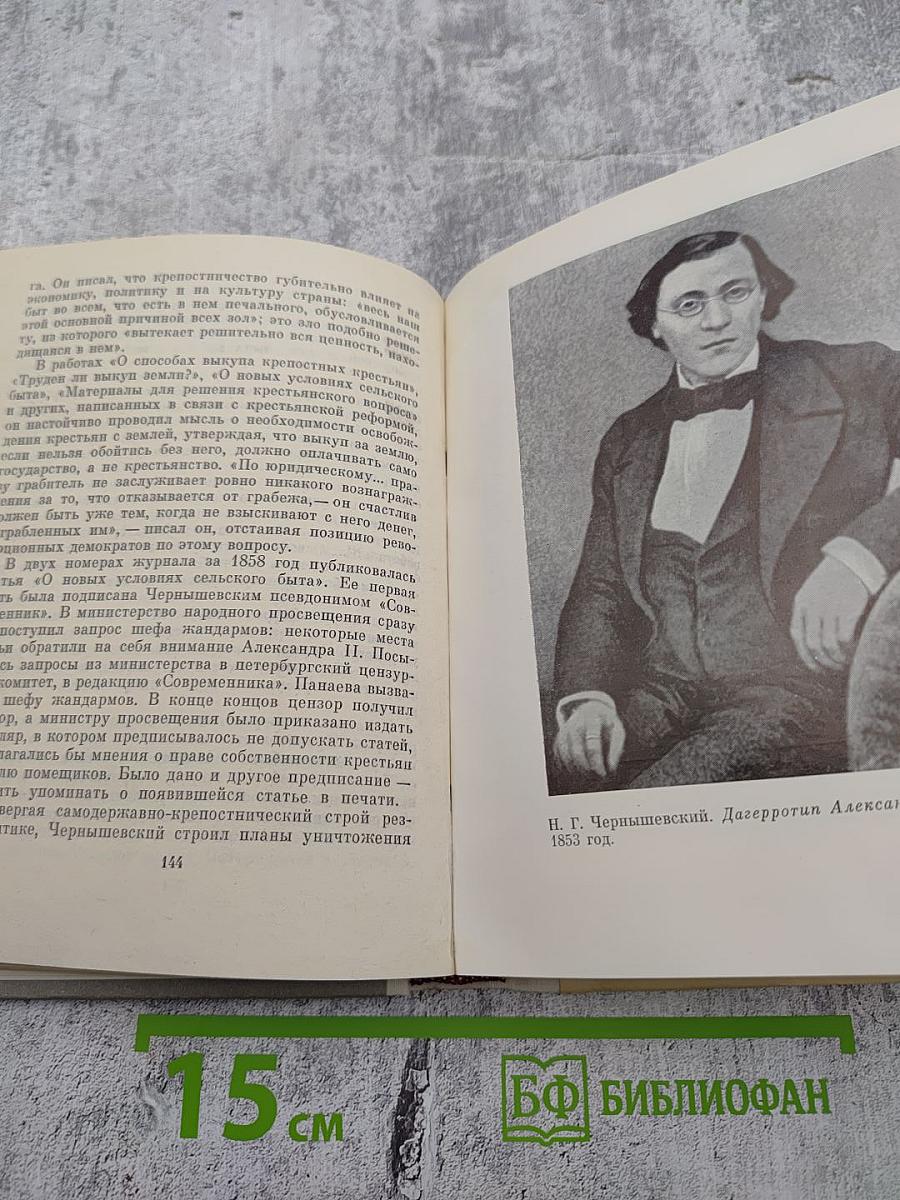 Чернышевский в Петербурге