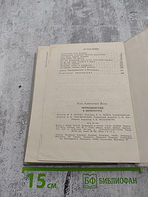 Чернышевский в Петербурге