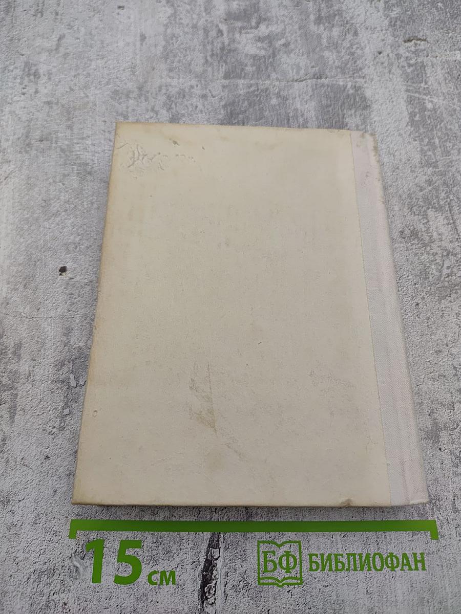 Чернышевский в Петербурге