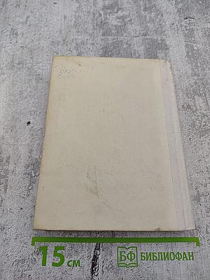 Чернышевский в Петербурге