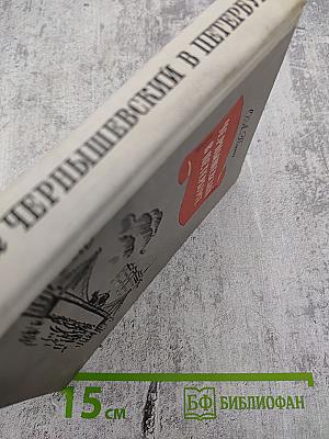 Чернышевский в Петербурге