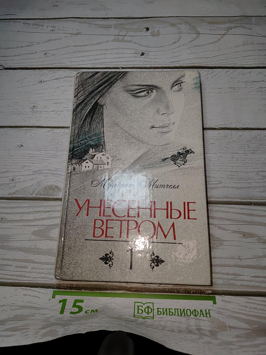Унесенные ветром. Том 1