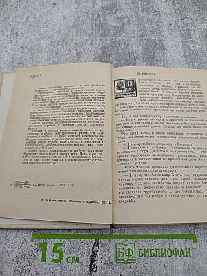 Знаменщик и трубач