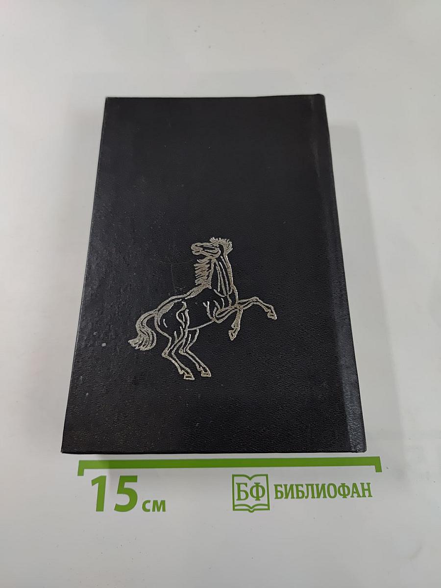 Русский Беркут