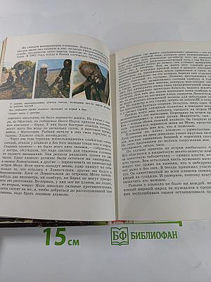 Кенийские сафари