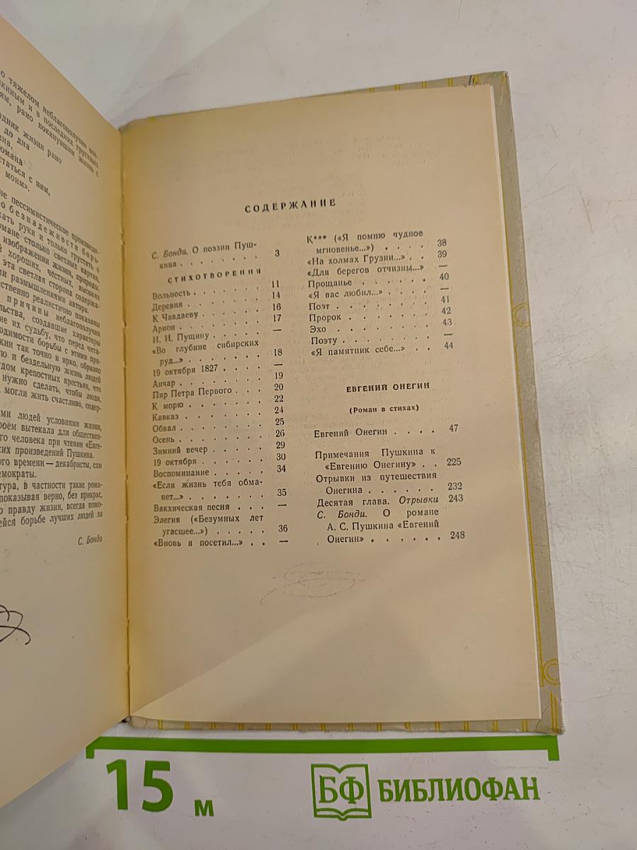 Стихотворения. Евгений Онегин