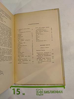 Стихотворения. Евгений Онегин