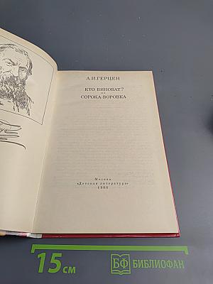 Кто виноват? Сорока-воровка