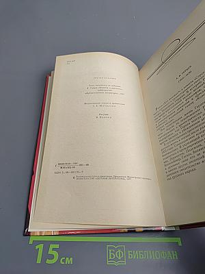 Кто виноват? Сорока-воровка