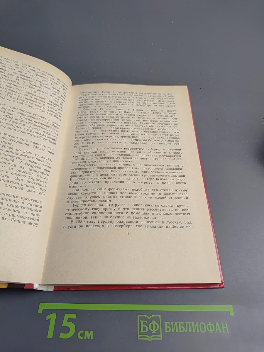 Кто виноват? Сорока-воровка