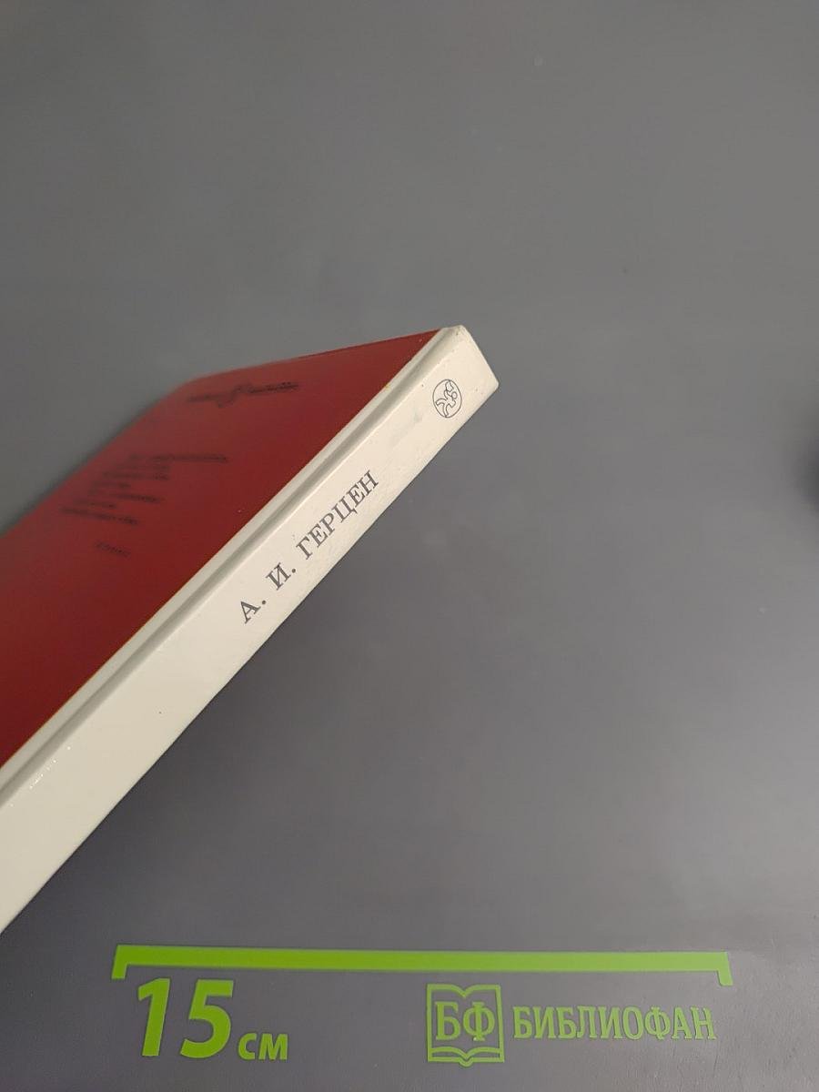 Кто виноват? Сорока-воровка