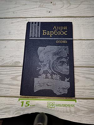 Огонь (Дневник взвода)