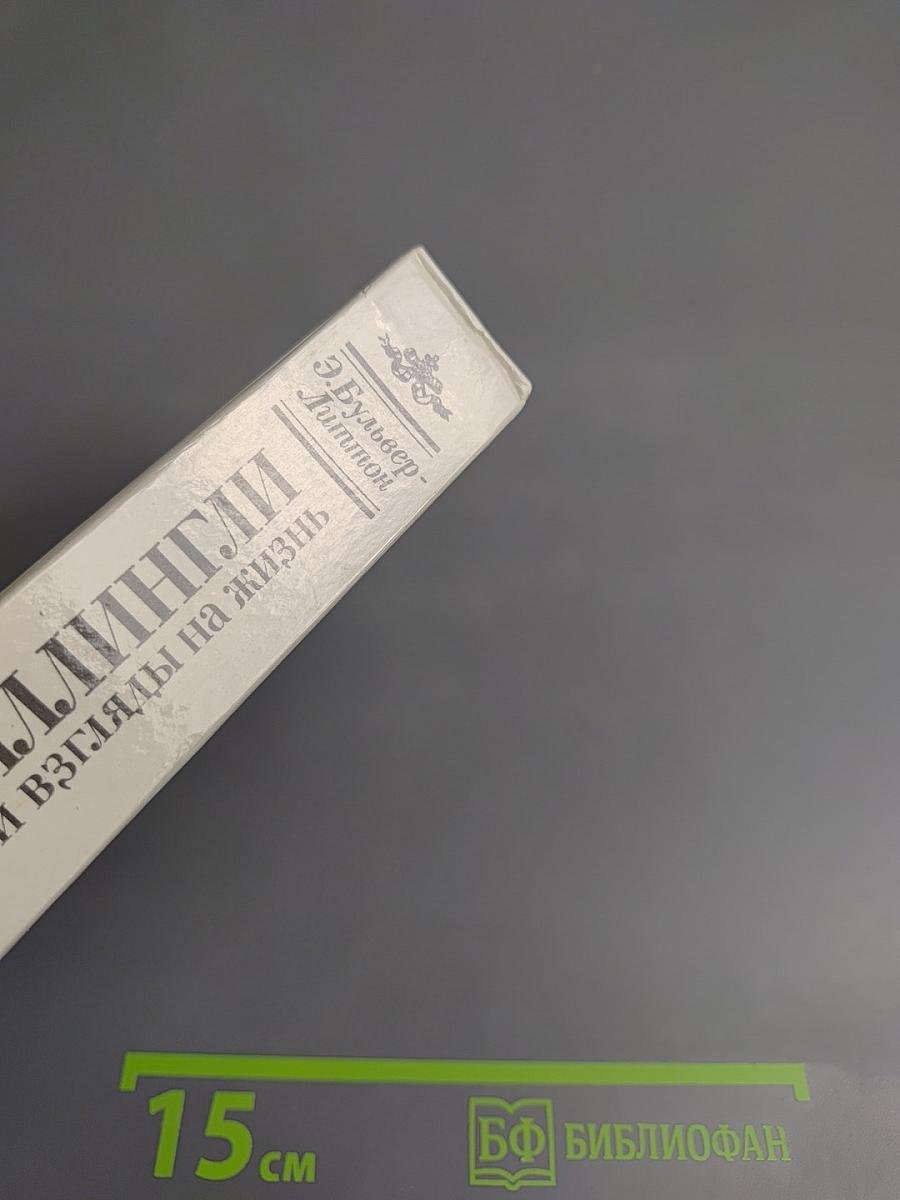 Кенелм Чиллингли. Его приключения и взгляды на жизнь