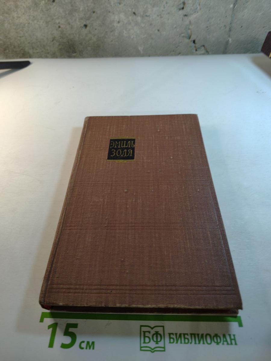 Чрево Парижа. Том 2