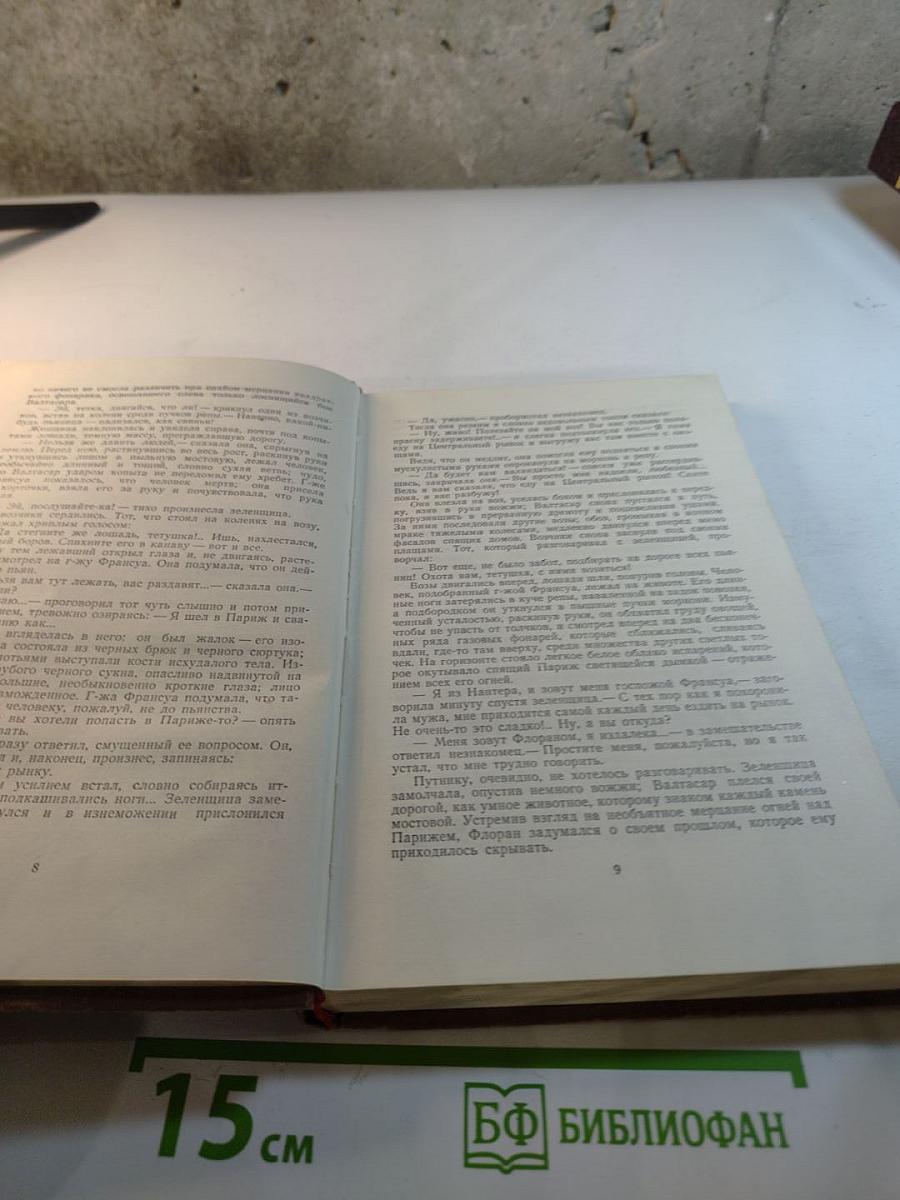 Чрево Парижа. Том 2