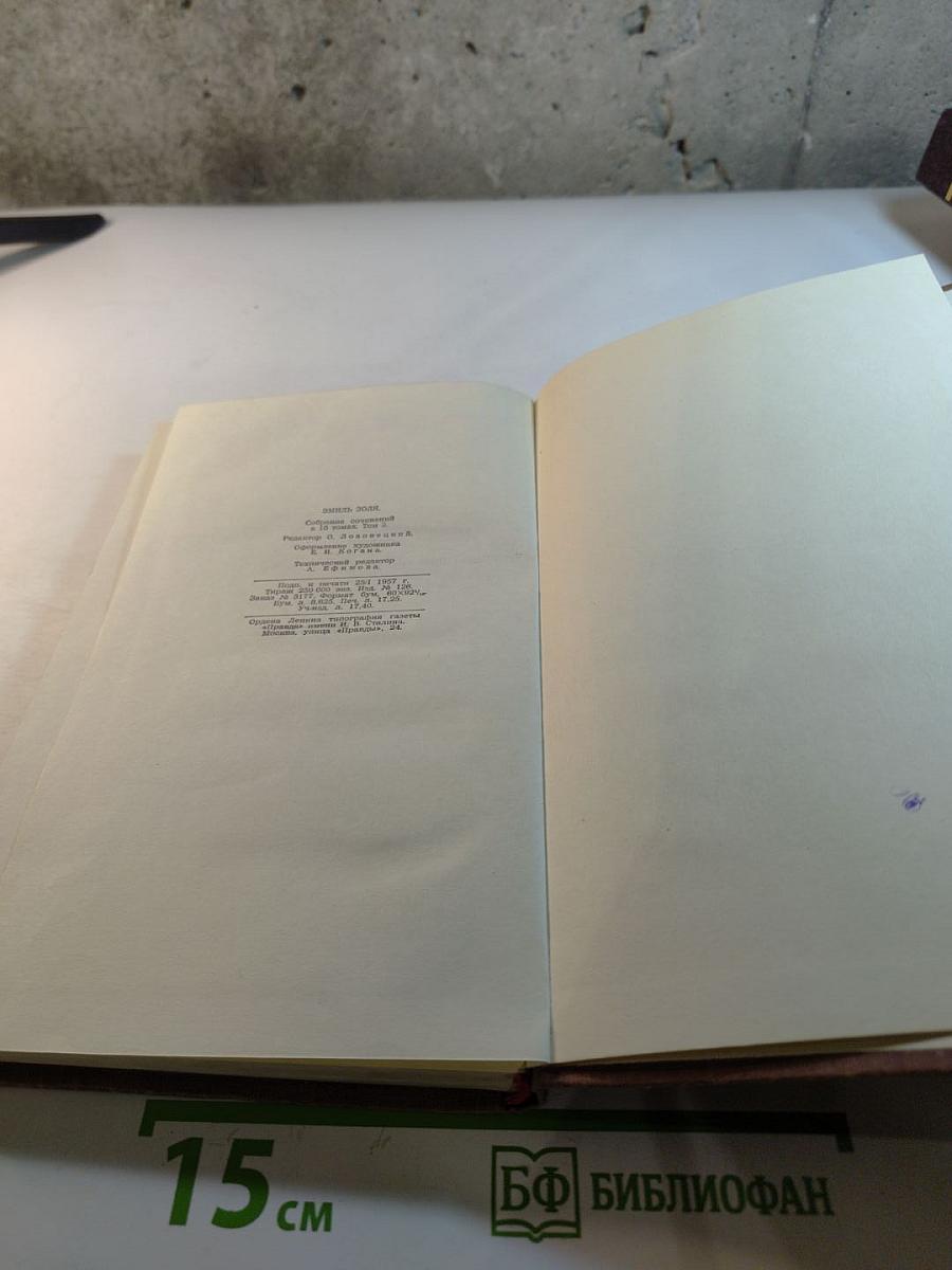 Чрево Парижа. Том 2