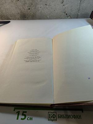 Чрево Парижа. Том 2