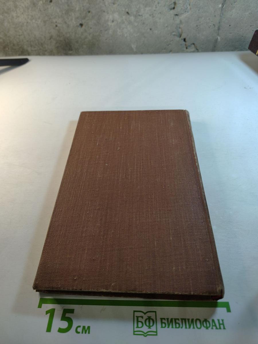 Чрево Парижа. Том 2