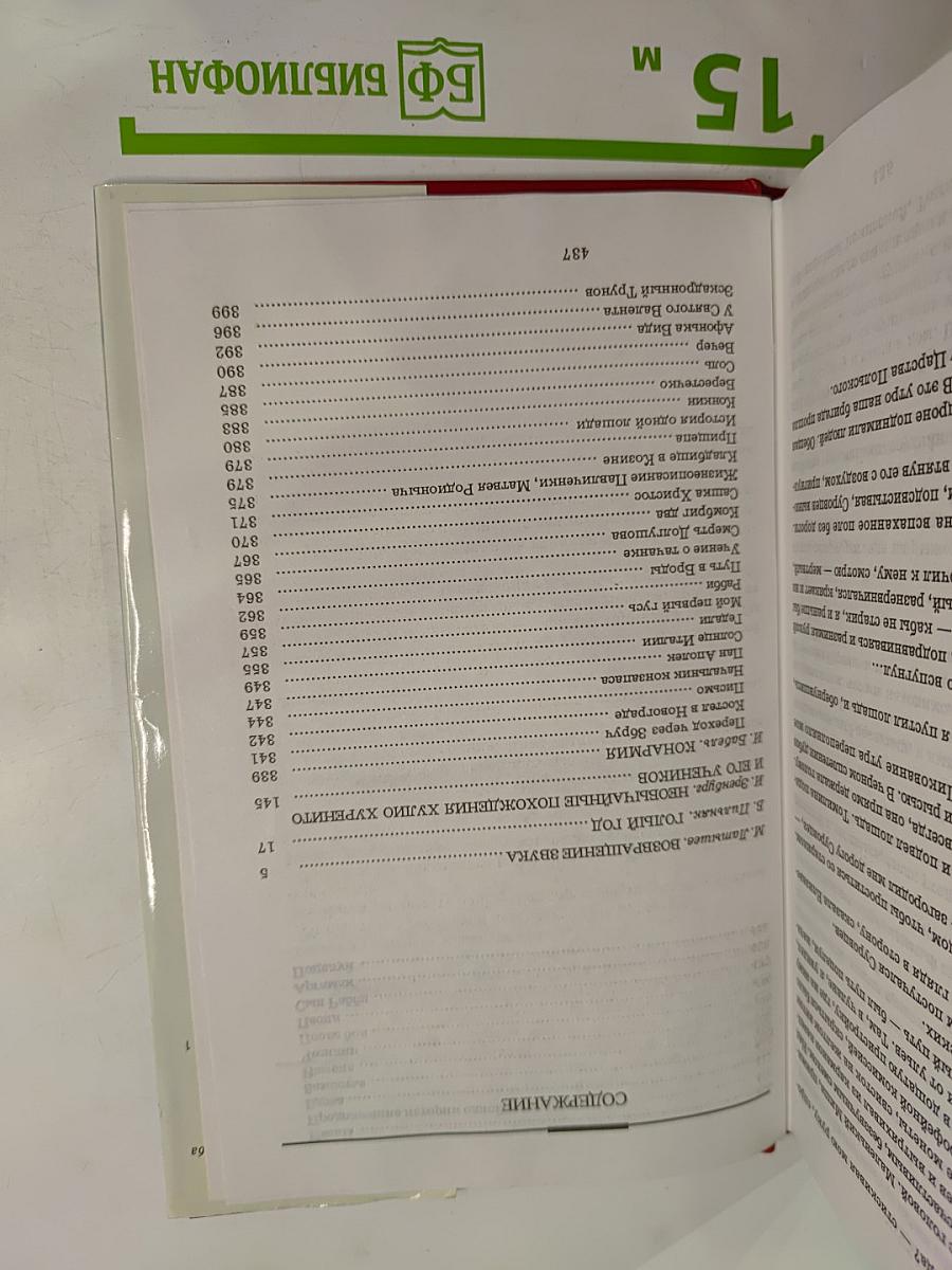 Советская проза 20–30-х годов. Том 1