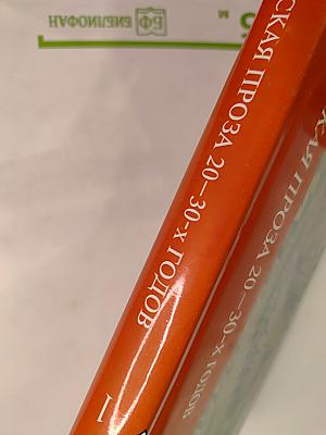 Советская проза 20–30-х годов. Том 1