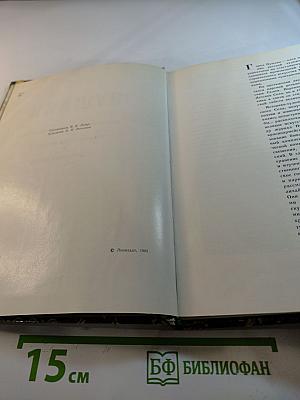 Пушкин. Екатерининский дворец-музей. Парки города Пушкина. Пушкинские места