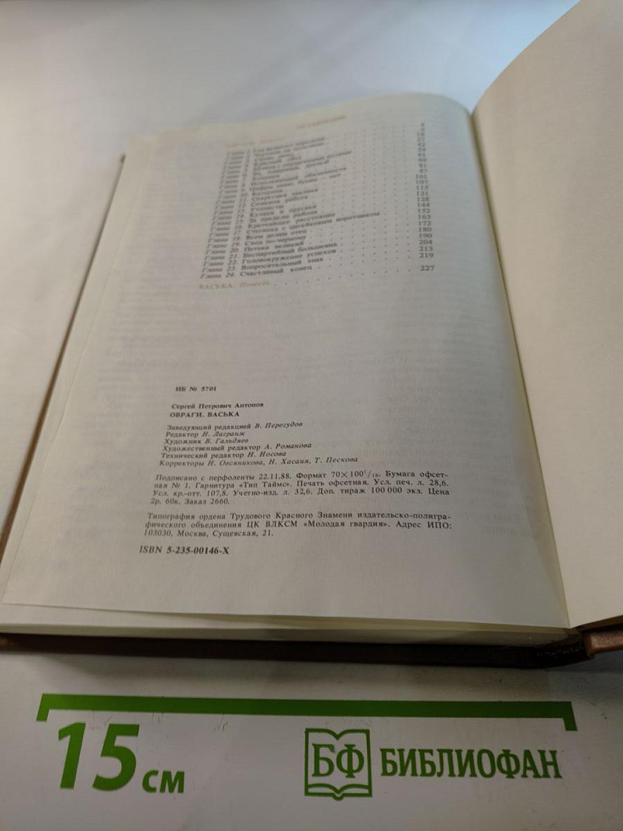 Овраги-Васька