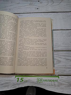 Чаплыгин