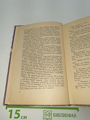 Брат и сестра