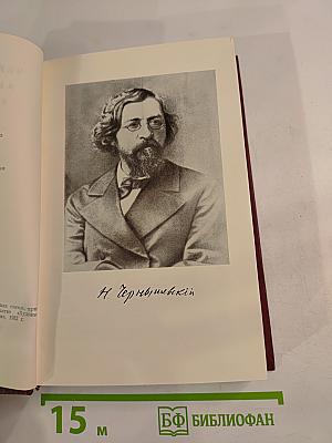 Н. Г. Чернышевский в воспоминаниях современников