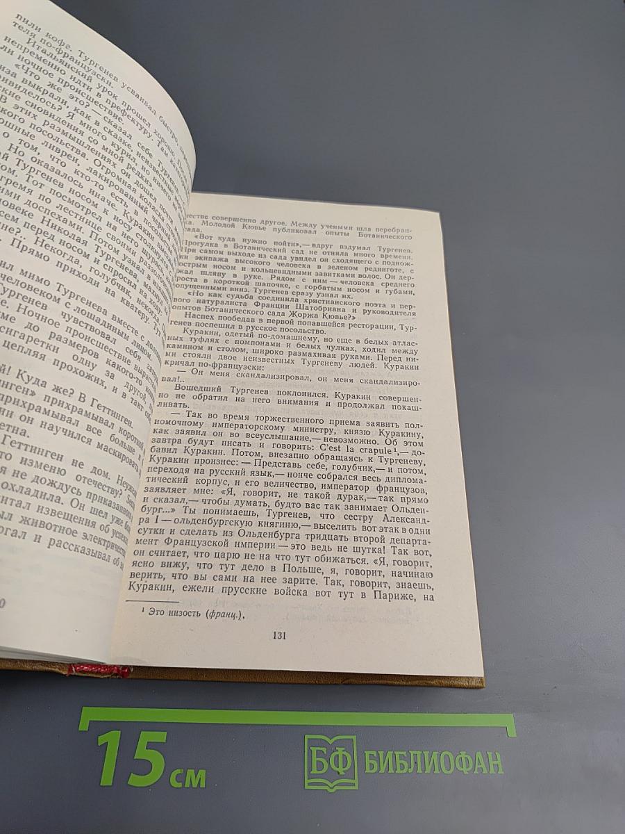 Анатолий Виноградов. Повесть о братьях Тургеневых. Осуждение Паганини