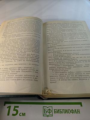 Пора надежд. Возвращение домой