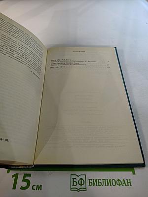 Пора надежд. Возвращение домой