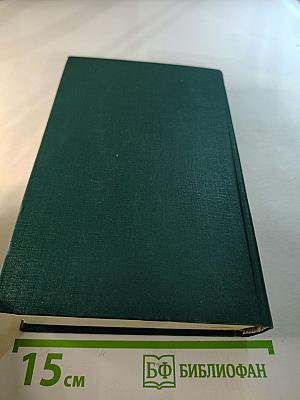 Пора надежд. Возвращение домой