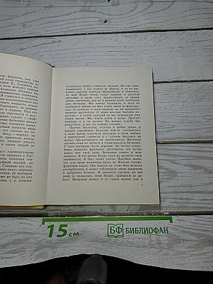 Капитанская дочка