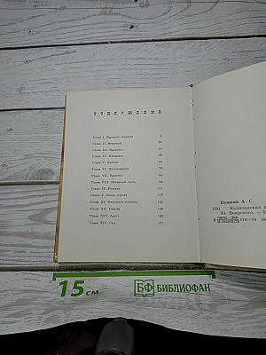 Капитанская дочка