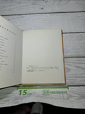 Капитанская дочка