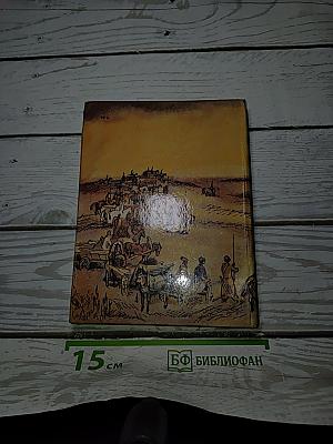 Капитанская дочка