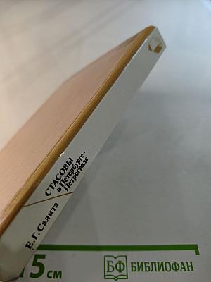 Стасовы в Петербурге-Петрограде