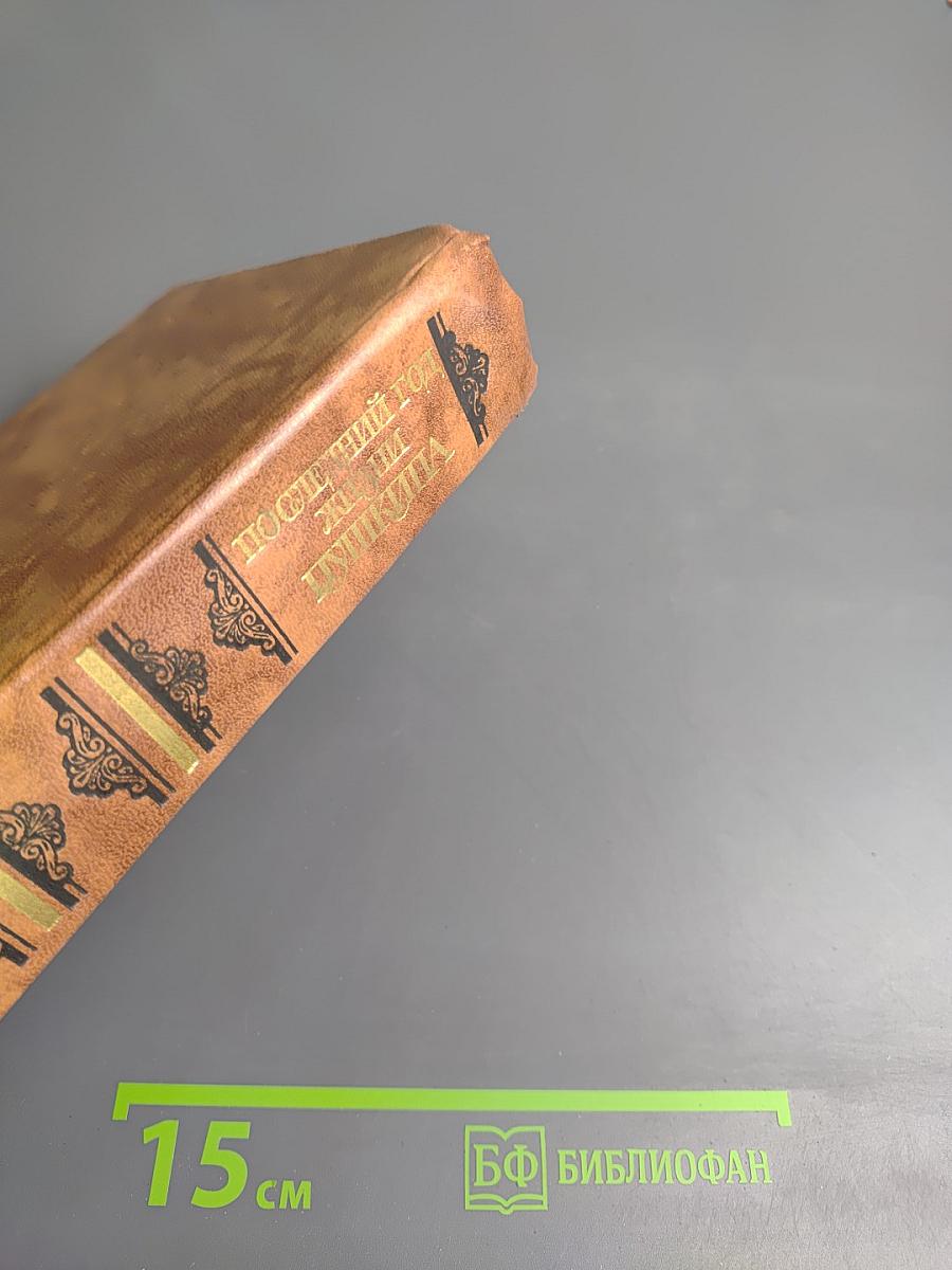 Последний год жизни Пушкина