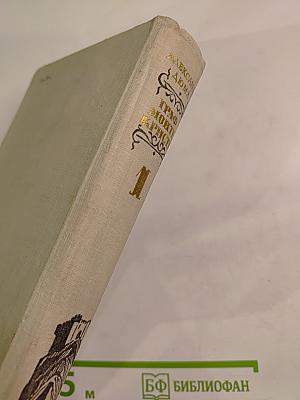 Граф Монте-Кристо. Том 1