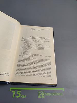 Тридцать пятый и другие годы. Книга первая