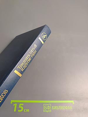 Тридцать пятый и другие годы. Книга первая