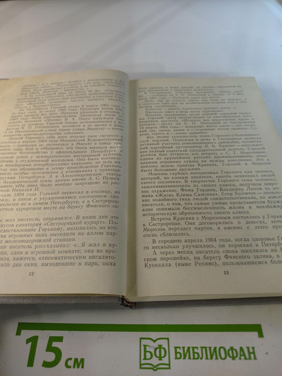Одним дыханьем с Ленинградом...: Ленинград в жизни и творчестве советских писателей