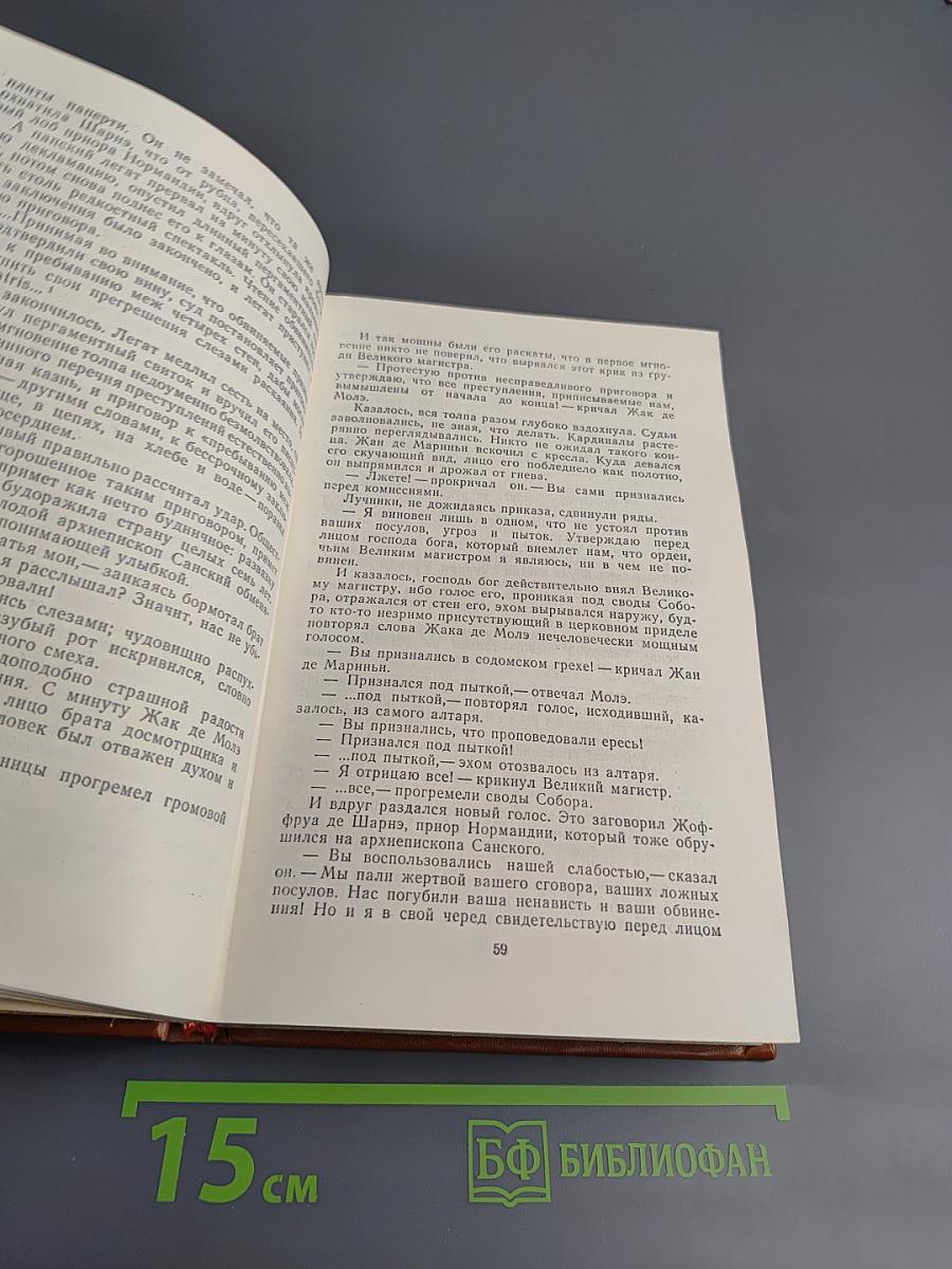 Железный король. Узница Шато-Гайара