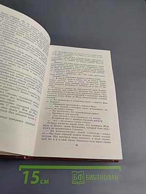 Железный король. Узница Шато-Гайара