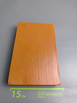 Железный король. Узница Шато-Гайара